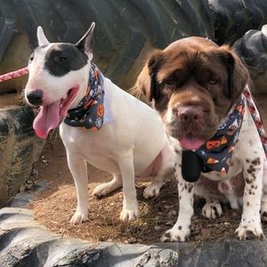 Meet your Posher, Melody